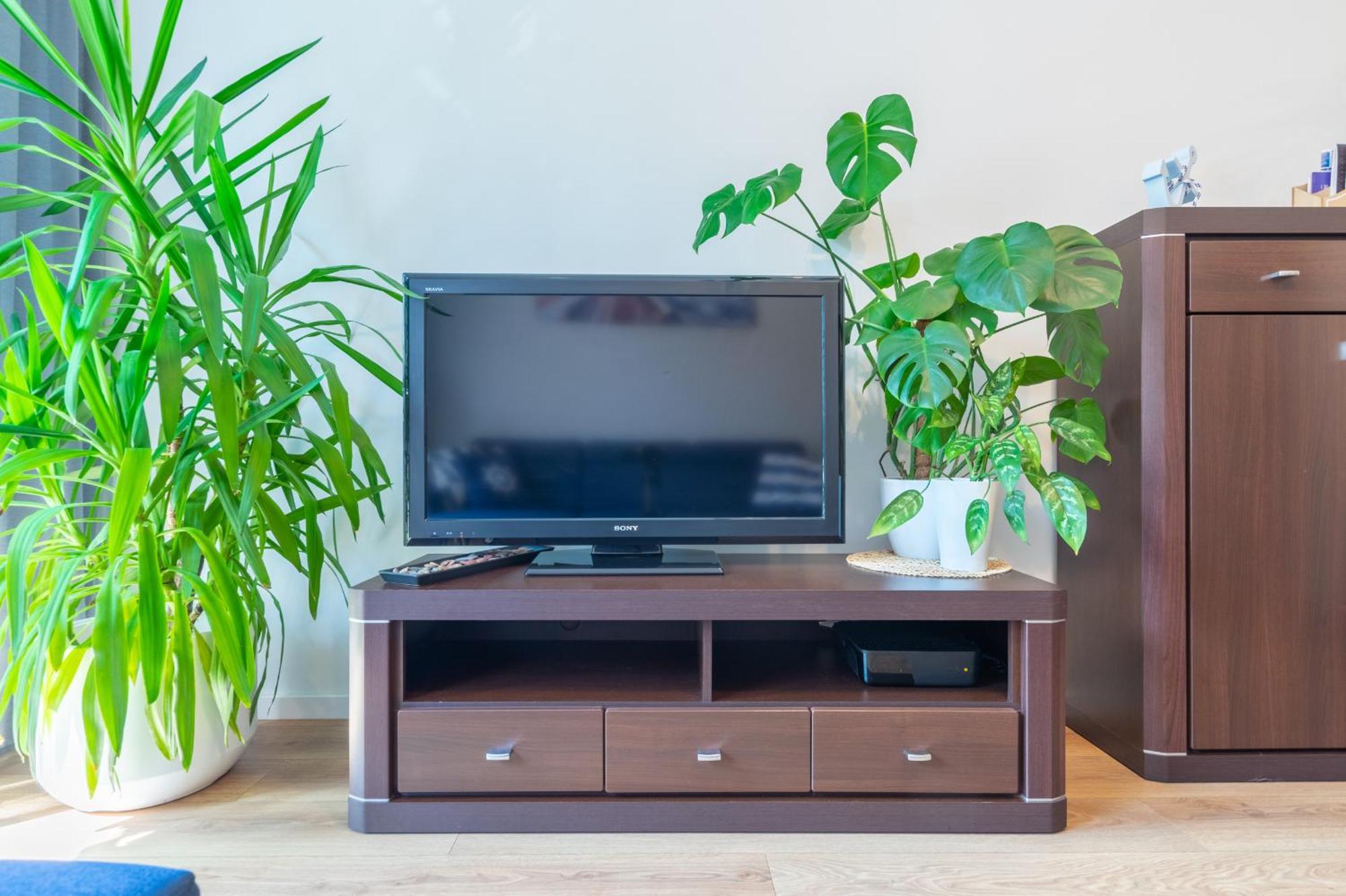 Apartament Anchor Przymorze グダニスク エクステリア 写真