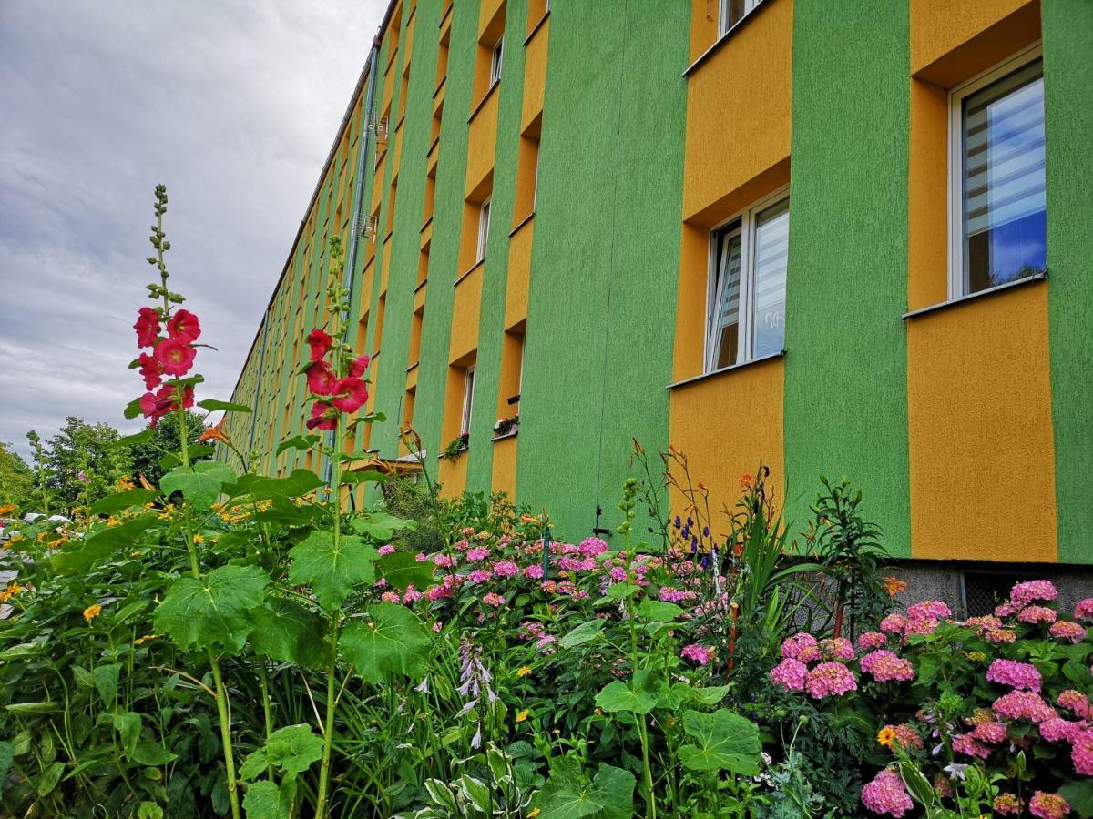 Apartament Anchor Przymorze グダニスク エクステリア 写真